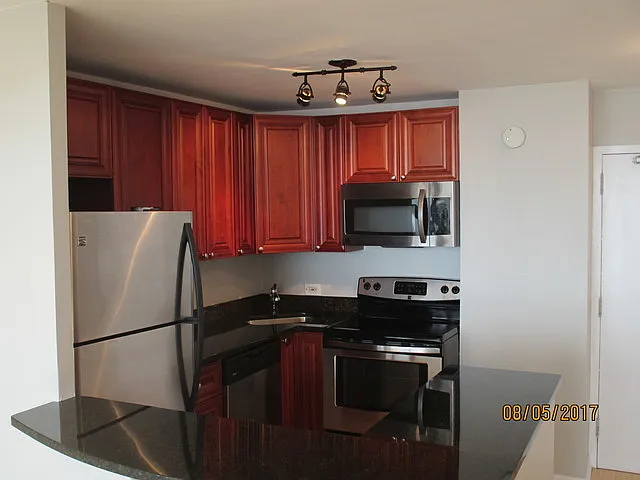 1355 N Sandburg Ter #1405 — Photo 11