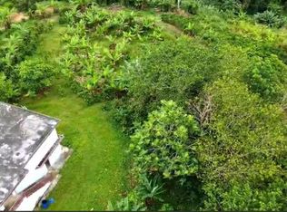 Camino Patria Rullan, Utuado, PR 00641