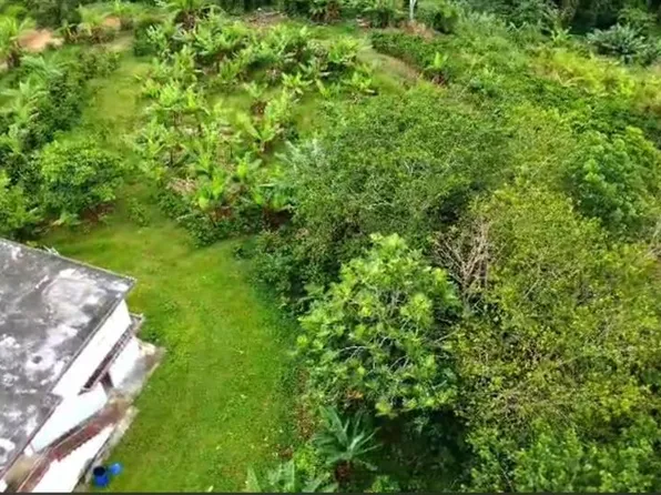 Camino Patria Rullan, Utuado, PR 00641