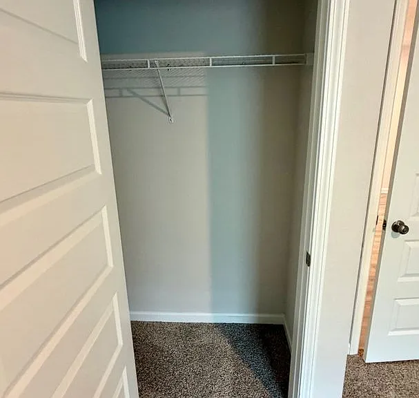 250 Boggy Creek Way — Photo 18