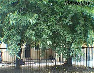 1st image of 406 S Adelbert Ave
