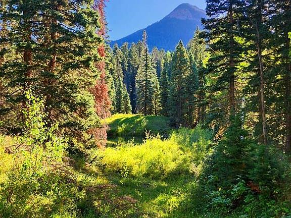 3rd image of 53072 Highway 550 Mill Creek Lodge Estates