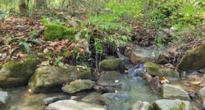 0 Powley Creek Rd, Hinton, WV, 25951