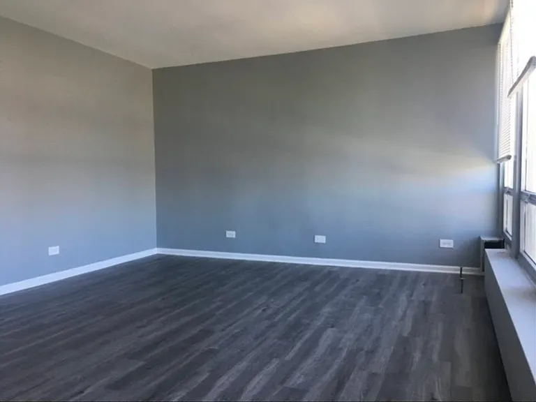 1401 E 55th St #411N — Photo 5