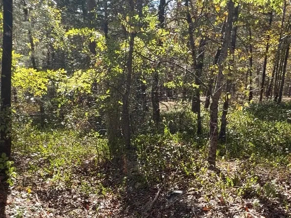 8 Paella Ln, Hot Springs Village, AR 71909
