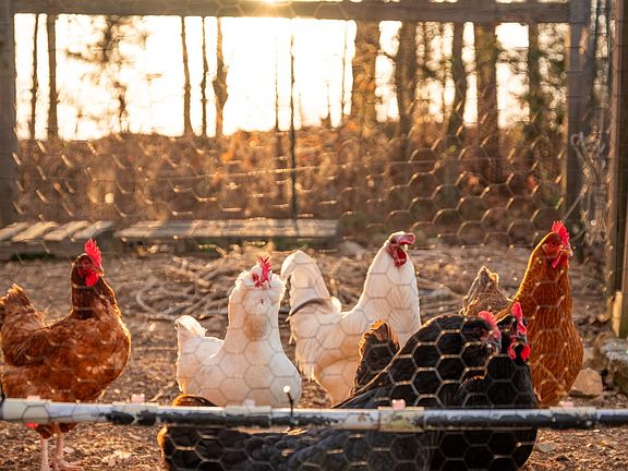 38th image of this home