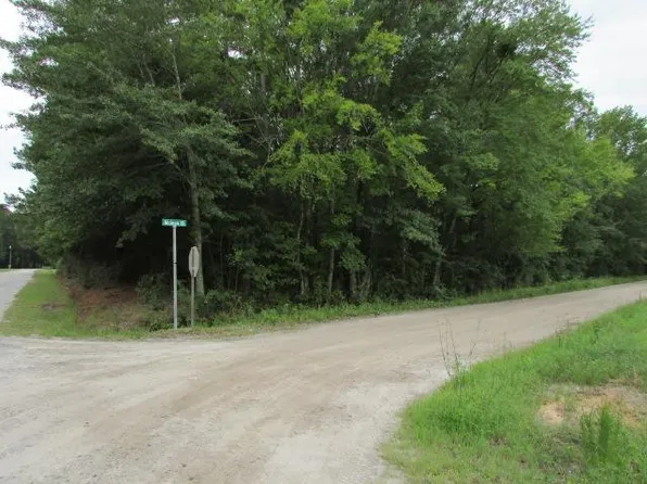 0 McLean Street Paul St, Sumter, SC 29153