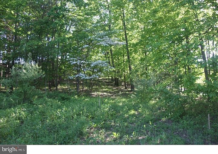 84 & 88 Nockamixon Rd, Kintnersville, PA 18930 Zillow