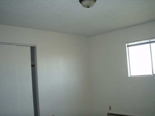 2 bed, 900 sqft, $900 — Photo 3