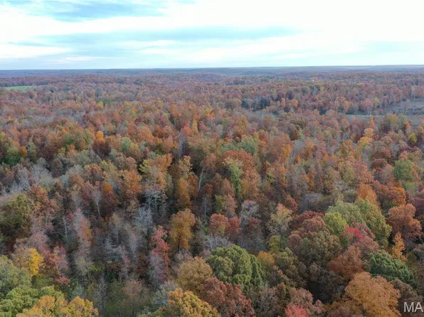 TRACT 3 Bobwhite Ln, Fairdealing, MO 63939