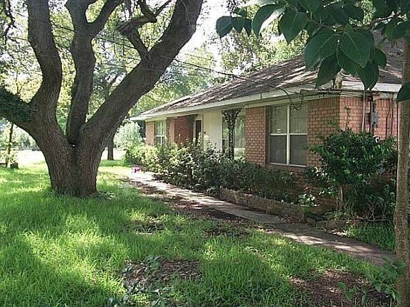Large Mature Oak & Pecans