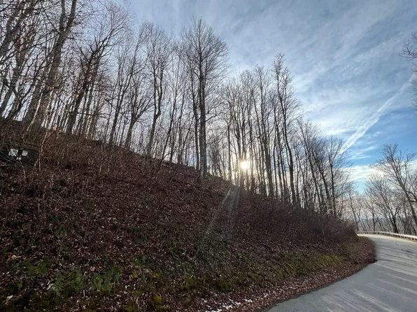 Wolf Ridge Rd #7, Mars Hill, NC 28754