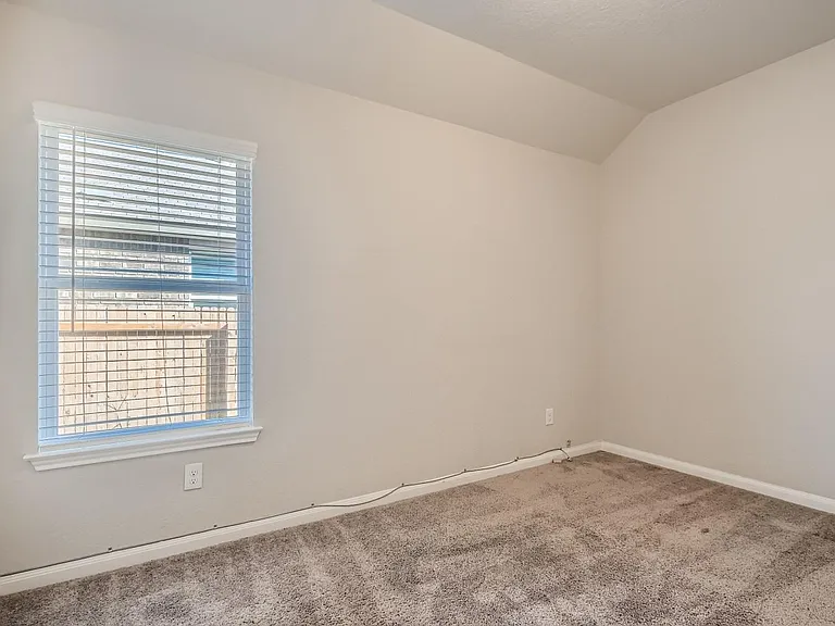 5442 Black Walnut — Photo 12