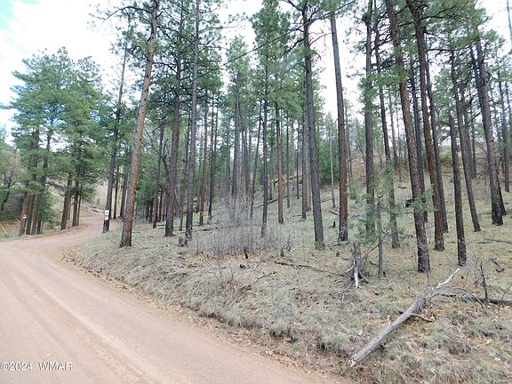 2nd image of LOT 24 N2276