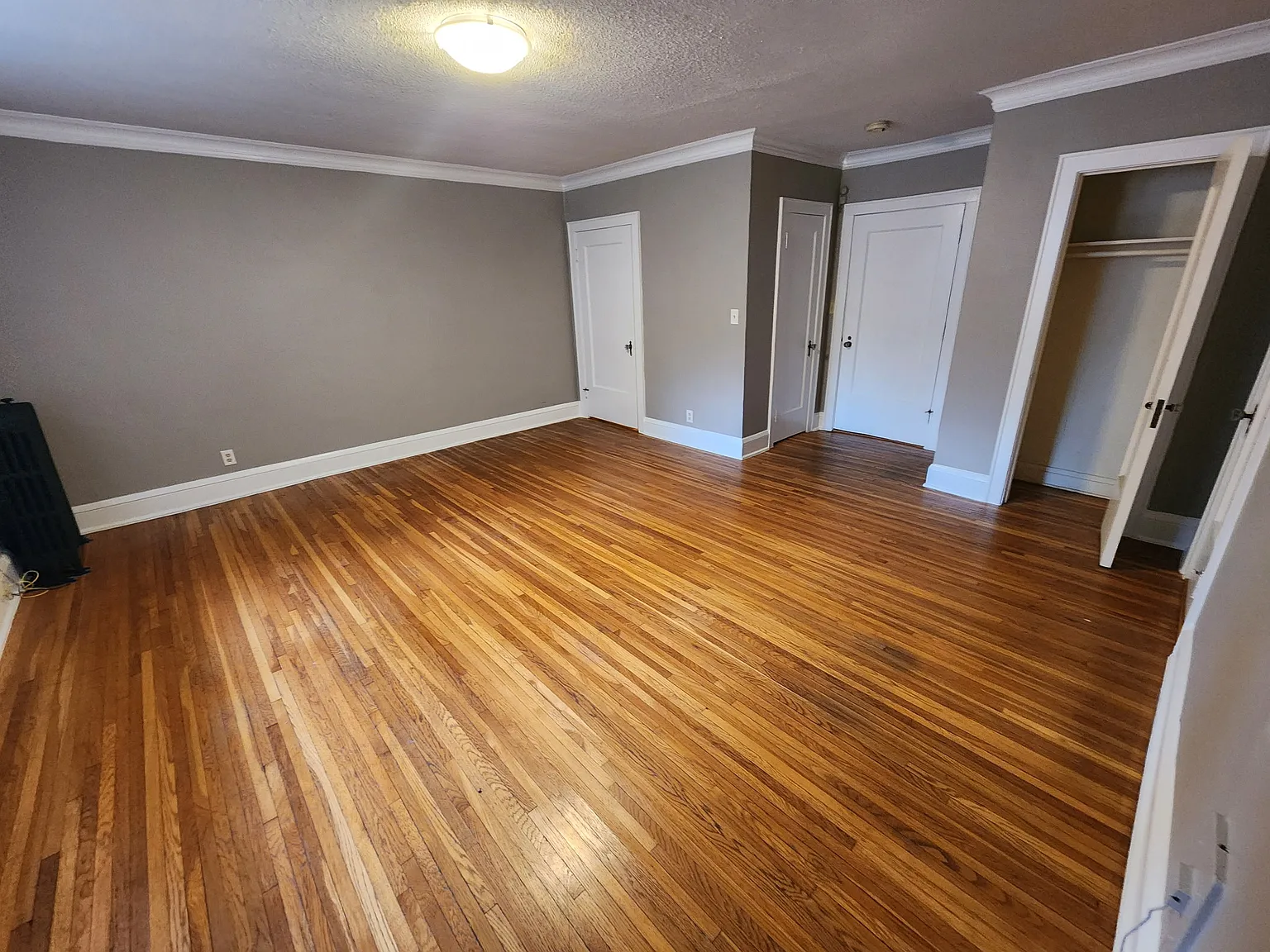 Studio, $900 — Photo 4