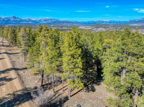 46 S Squaw Canyon Place, Pagosa Springs, CO 81147
