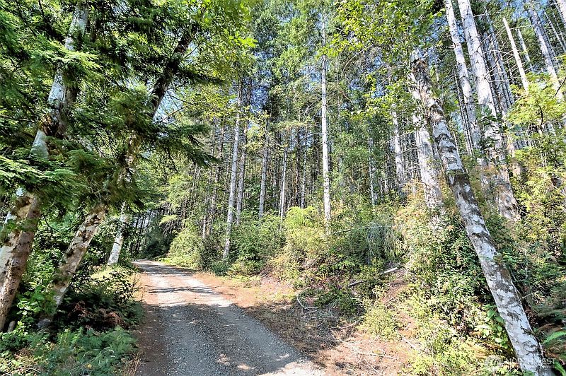 5th image of 0 Tahuya Valley Drive E