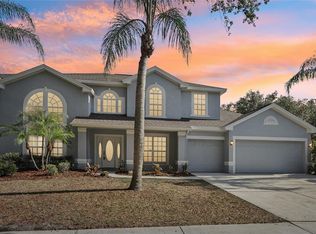 10246 Shadow Branch Dr, Tampa, FL 33647