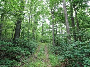 8280 Township Road 263, Bergholz, OH 43908