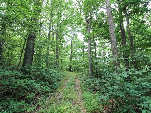 8280 Township Road 263, Bergholz, OH 43908