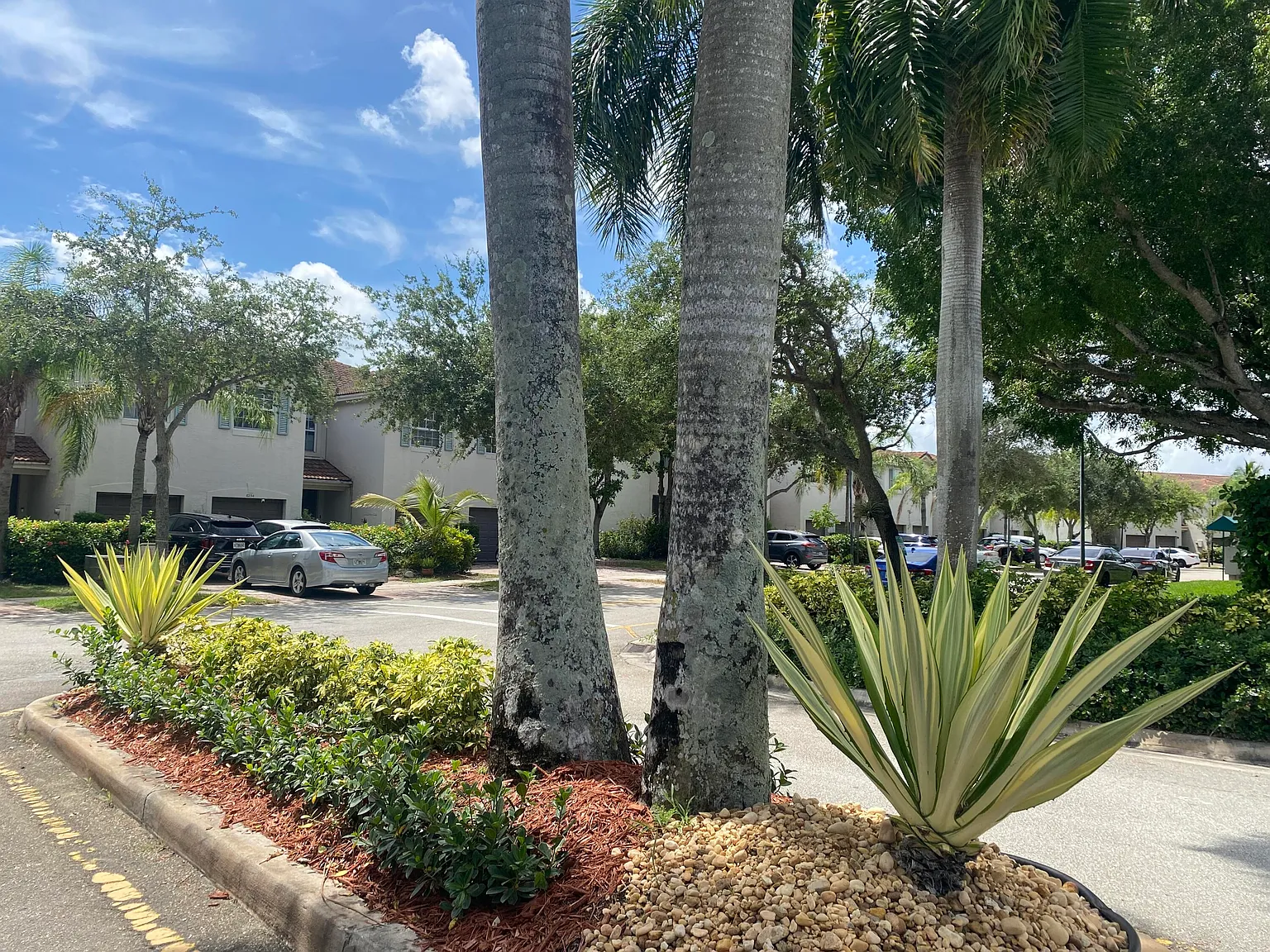 3 bed, 2.5 bath, 1219 sqft, $2,475 — Photo 4