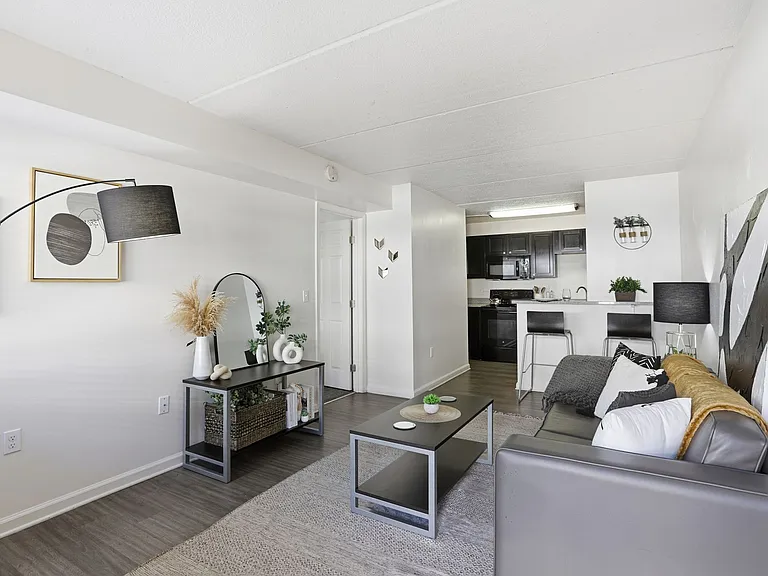 Experience Open-Concept Living with Stylish Furnishings at Legacy Student Living Near FSU