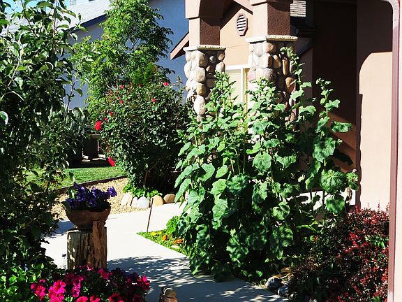 3rd image of 4500 Barcelona Cir