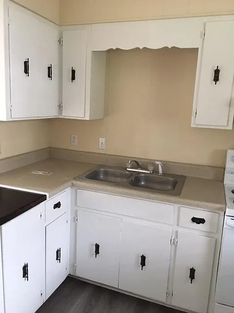 2 bed, 950 sqft, $1,000 — Photo 3