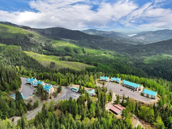 28600 N Mount Spokane Park Dr #607, Mead, WA 99021