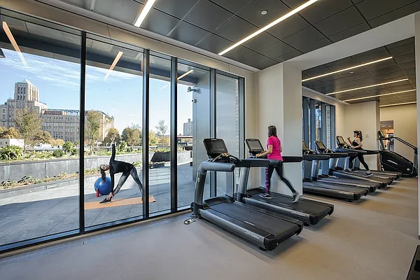 Rented by Gotham Organization | media 9