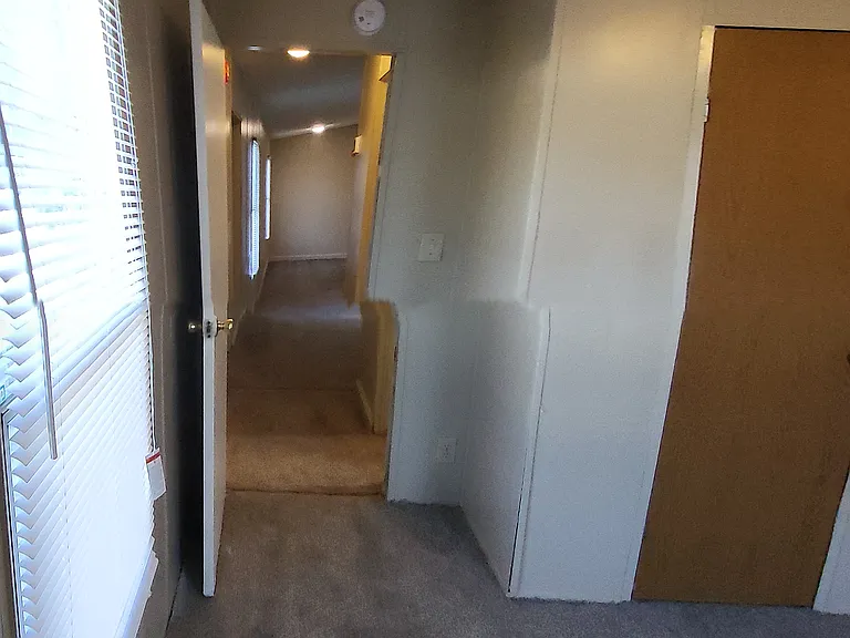 Armadillo Dr — Photo 10