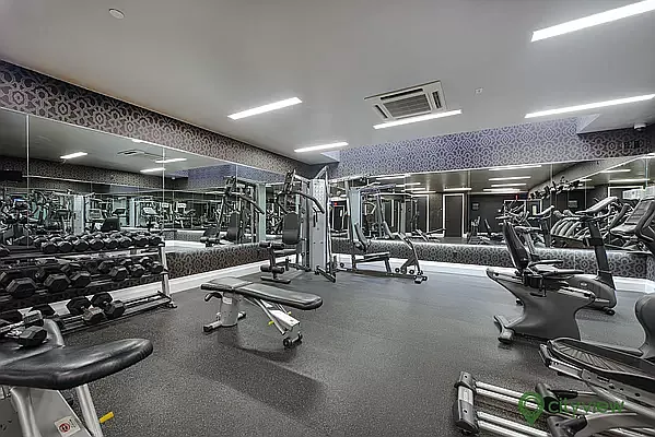 Rented by City View Living | media 27