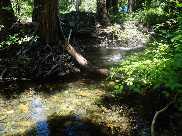 59555 Highway 70, Blairsden Graeagle, CA 96103