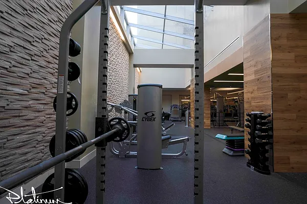 Rented by Platinum Properties | media 14