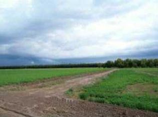 0 Ojito De Madrid, Anthony, NM 88021