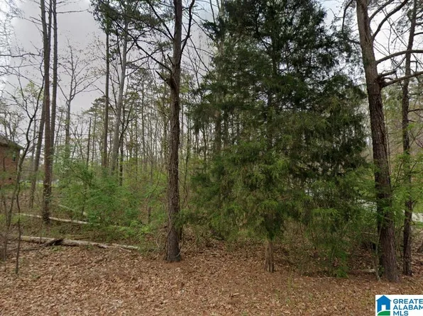 0 Woodland Ave #113, Pinson, AL 35126