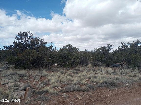 5th image of 3958 Apache Rd