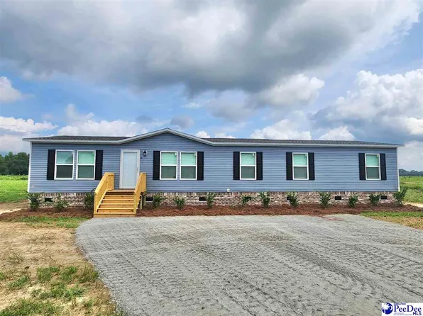 608 Black Branch Rd, Dillon, SC 29536