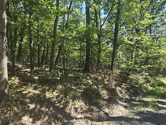 3rd image of 0 White Oak Rd