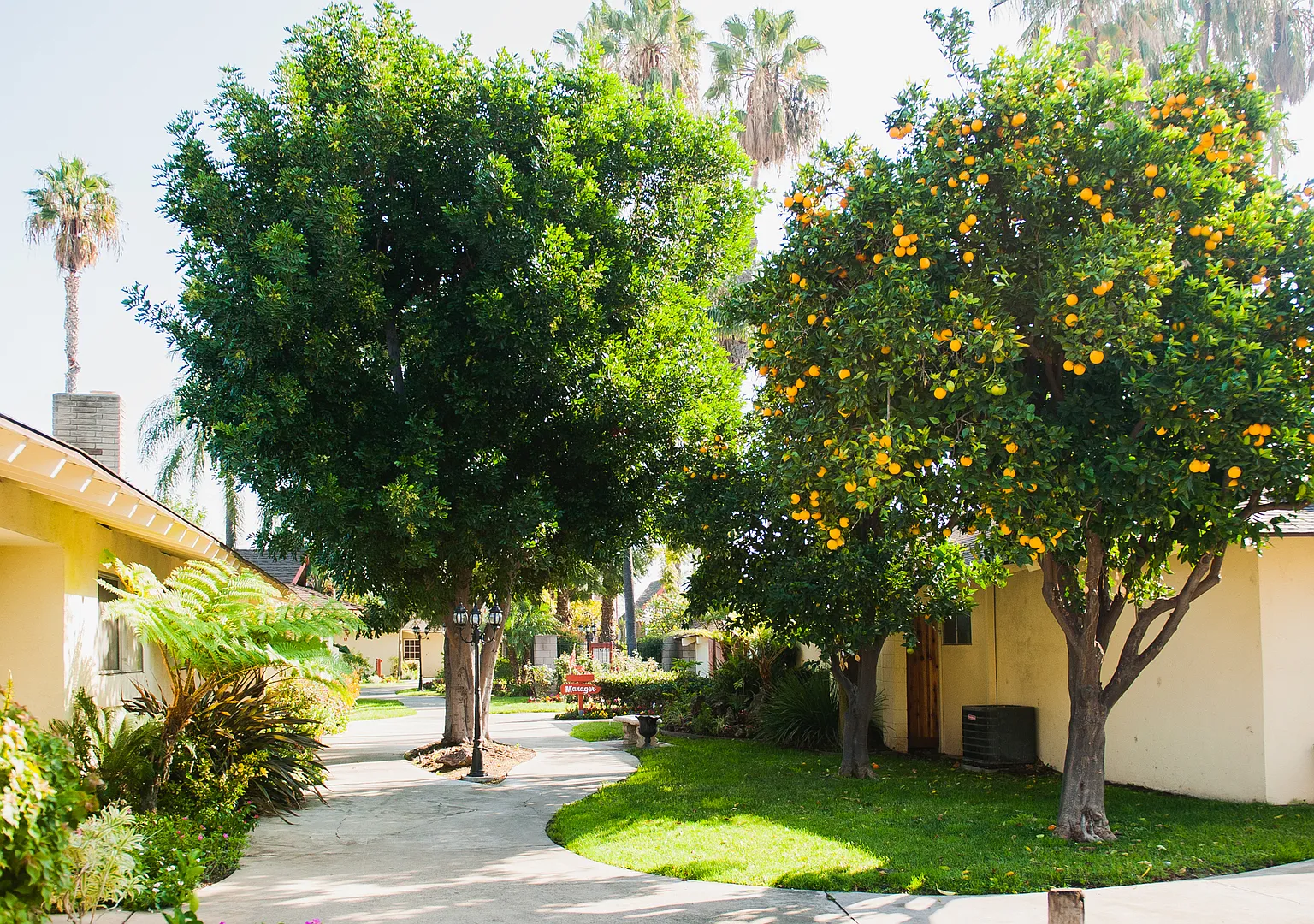 The Beautiful Islander Apartments! — Photo 3
