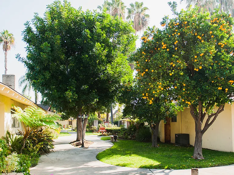 The Beautiful Islander Apartments! — Photo 3