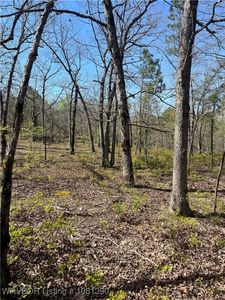 TRACT Two K Trl, Talihina, OK, 74571