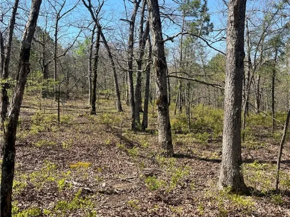 TRACT Two K Trl, Talihina, OK 74571