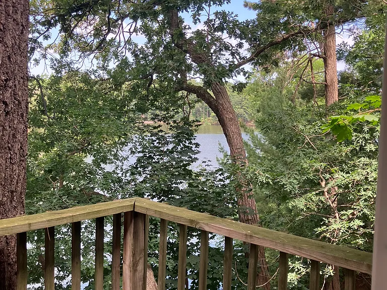 Canyon Rd — Photo 17
