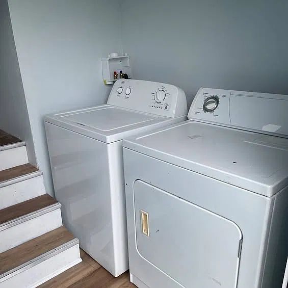1 bed, 906 sqft, $1,150 — Photo 2