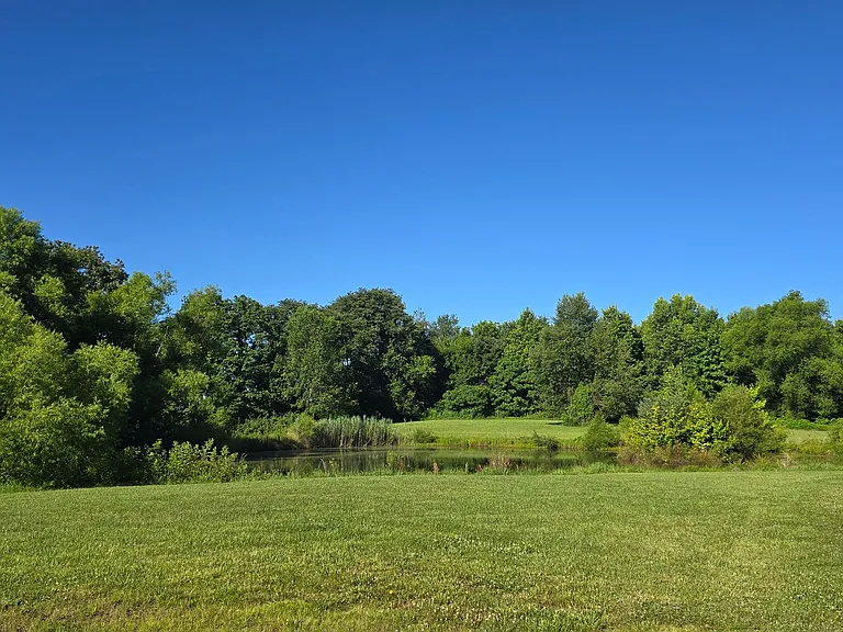 10088 Highway 431 — Photo 3