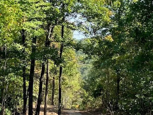 9 Church Rd, Annapolis, MO 63620