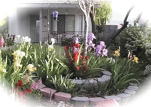 Front yard; bay window on ho