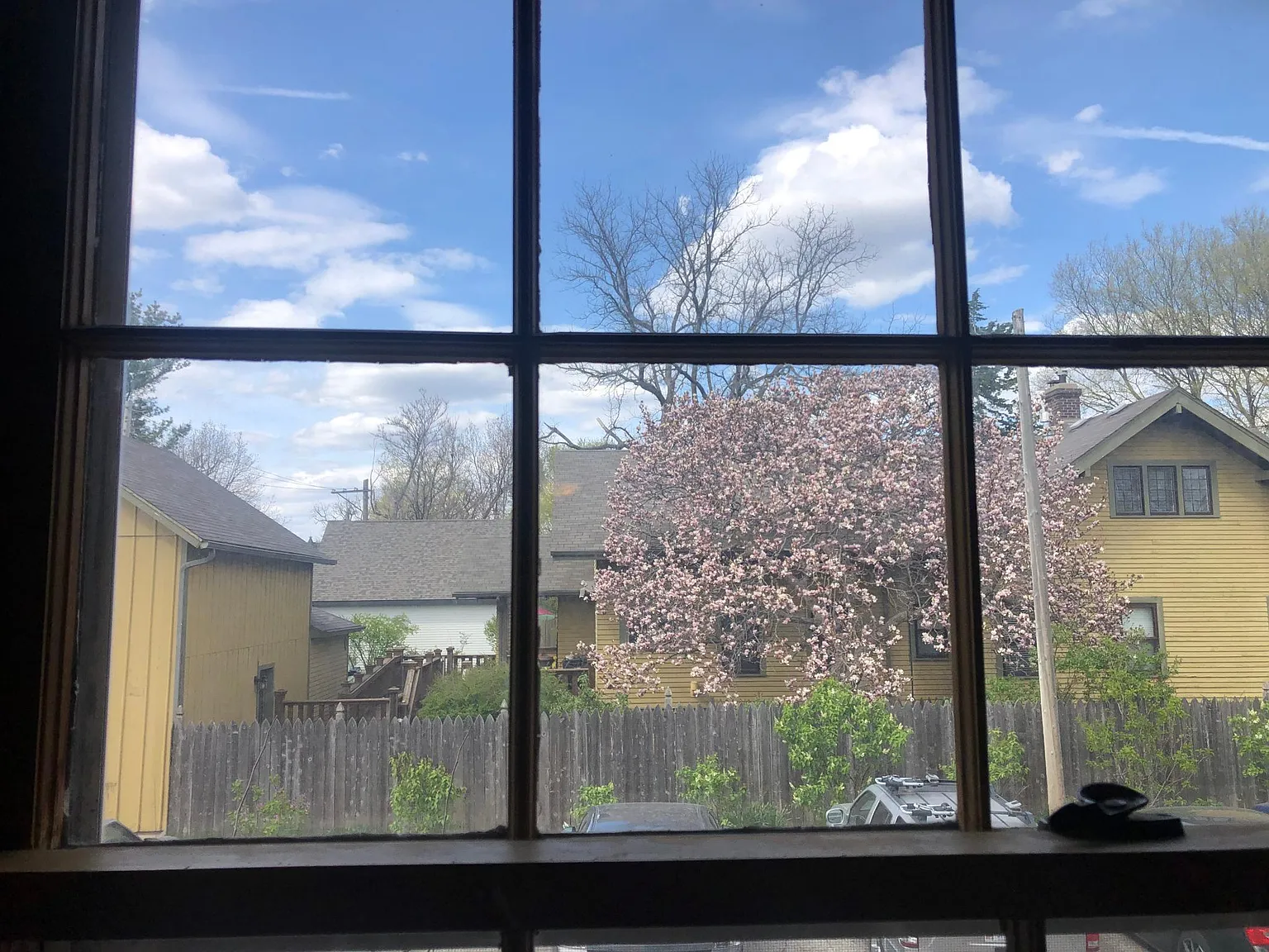 1 bed, $845 — Photo 4