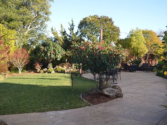 Patio and Lawn